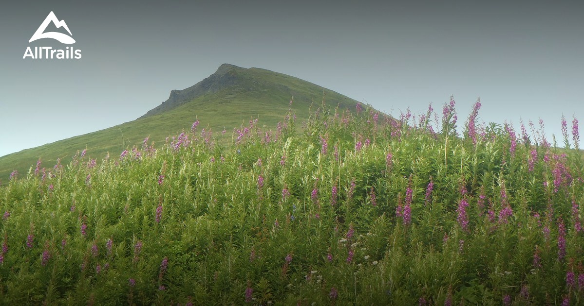 Best Trails near Unalaska, Alaska AllTrails