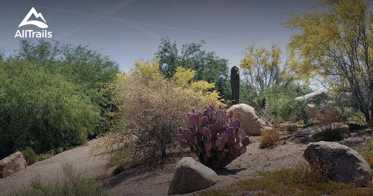 Best walking trails in Chandler AllTrails