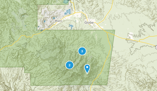 Globe, Arizona Map
