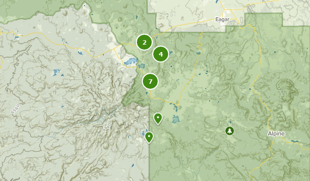 Greer Arizona Map