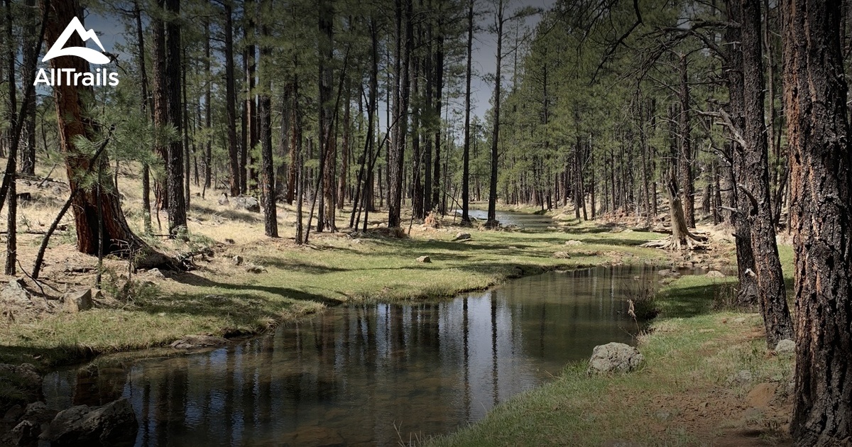 Best Trails near Lakeside, Arizona AllTrails