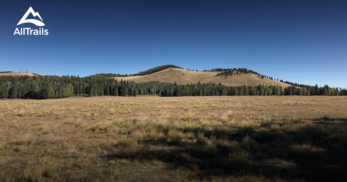 Best hikes and trails in McNary AllTrails