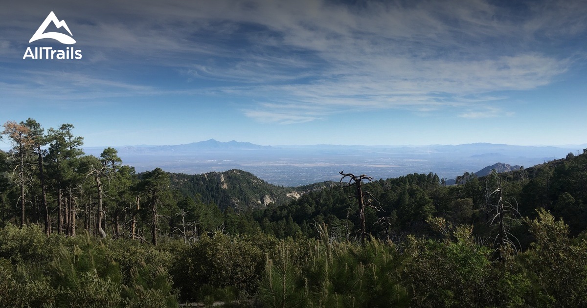 10 Best trails and hikes in Mount Lemmon AllTrails