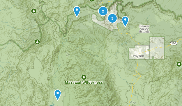 Pine, Arizona Map