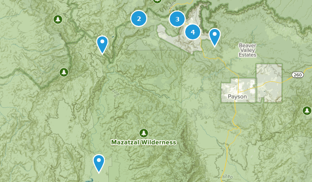 Pine, Arizona Map