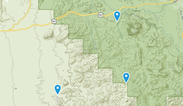 Reymert, Arizona Map