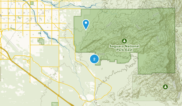 Rincon Valley, Arizona Map