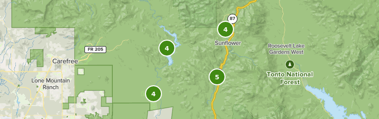 Best 10 Trails and Hikes in Rio Verde | AllTrails Best 10 Trails and Hikes in Rio Verde | AllTrails