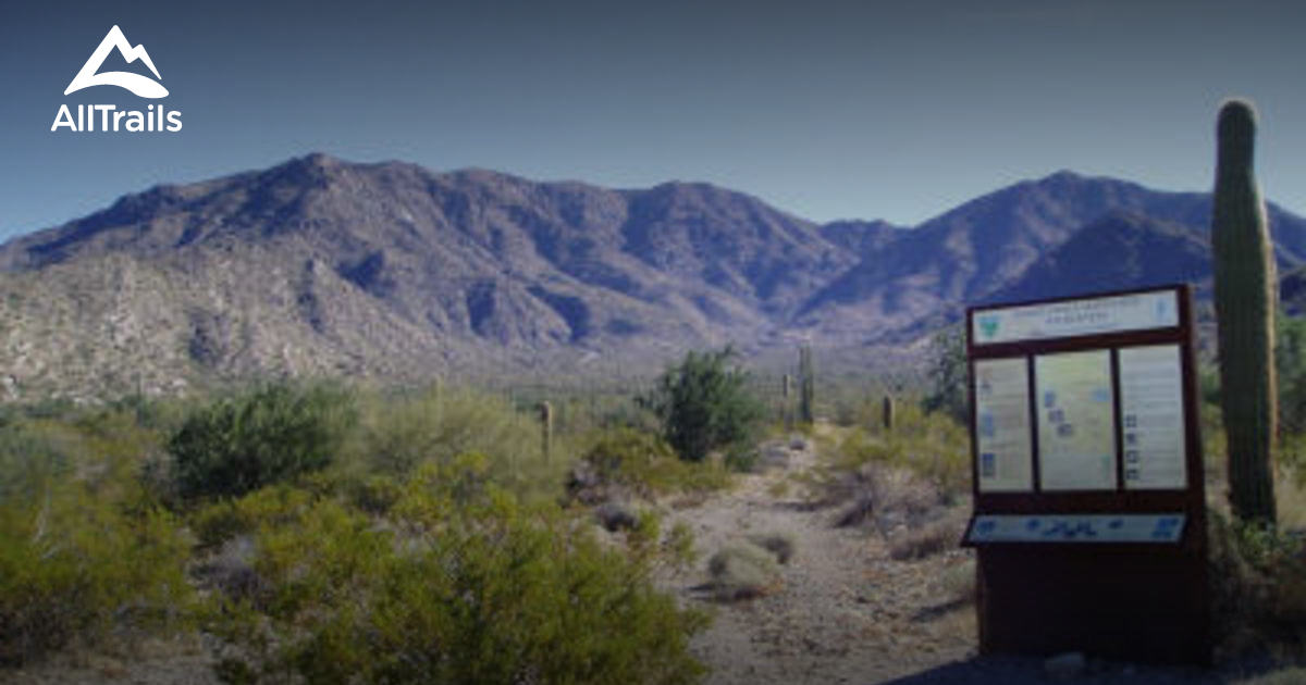 Best Trails near Salome, Arizona AllTrails