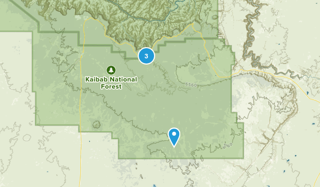Tusayan, Arizona Map