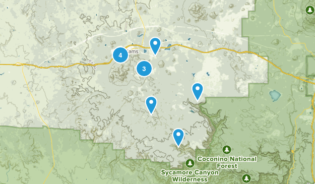 Williams, Arizona Map