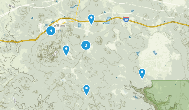 Williams, Arizona Map