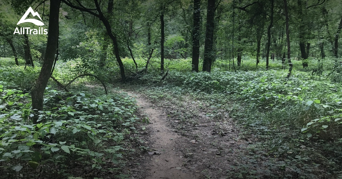 Best Forest Trails in Barling AllTrails