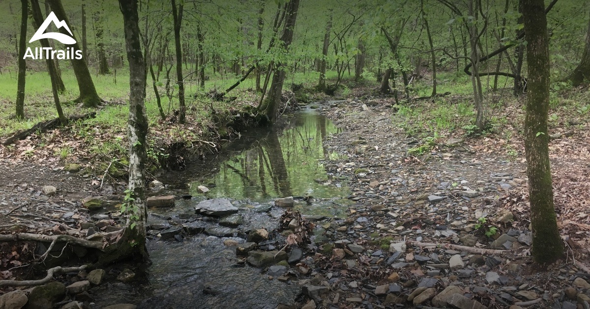 Best Trails near Mount Ida, Arkansas AllTrails