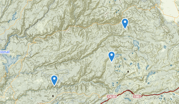 Alleghany, California Map