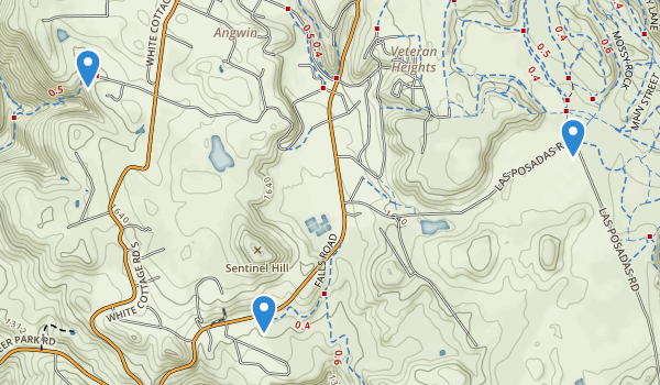 Best Trails near Angwin, California