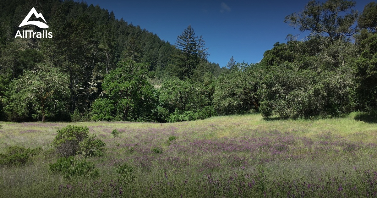 10 Best trails and hikes in Angwin AllTrails