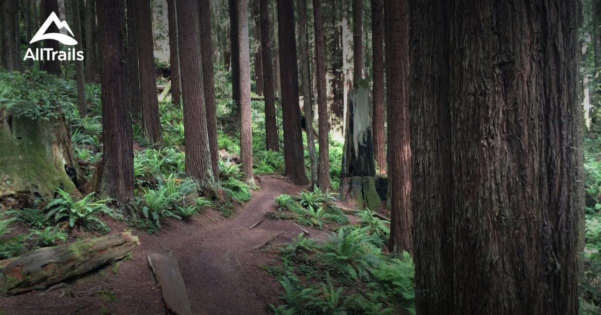 10 Best moderate trails in Arcata | AllTrails