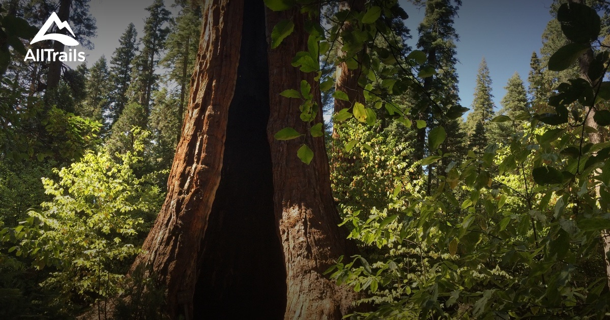 Best Trails near Arnold, California AllTrails