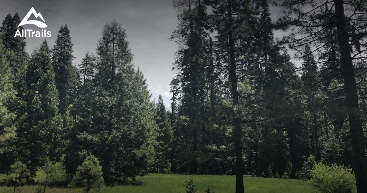 10 Best trails and hikes in Arnold AllTrails