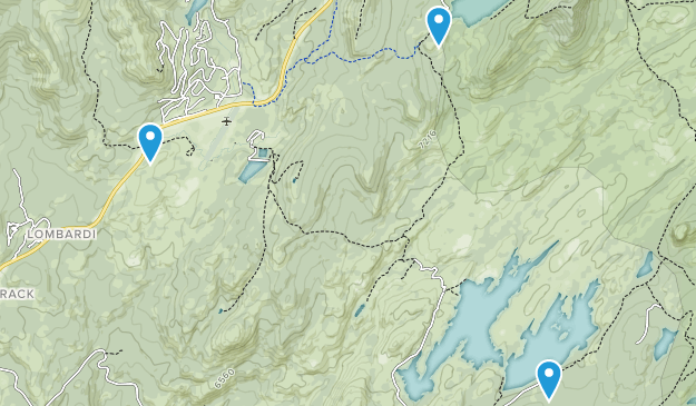 Bear Valley, California Map