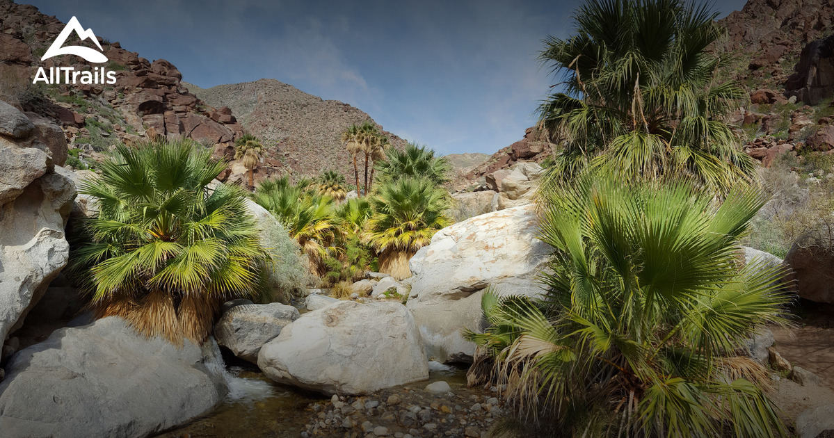 Best Trails near Borrego Springs California 832 Photos & 598