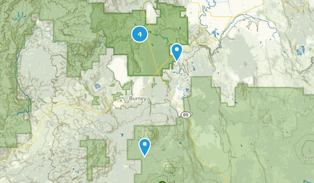 Burney, Californie Map
