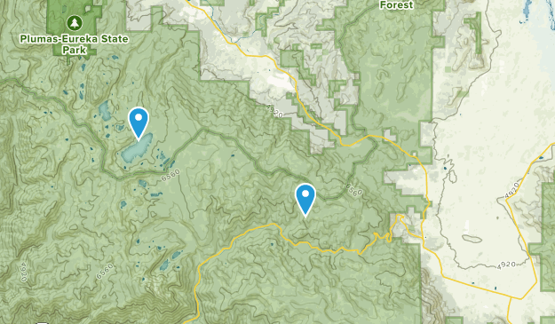 Calpine, California Map