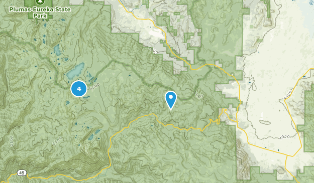 Calpine, Californie Map
