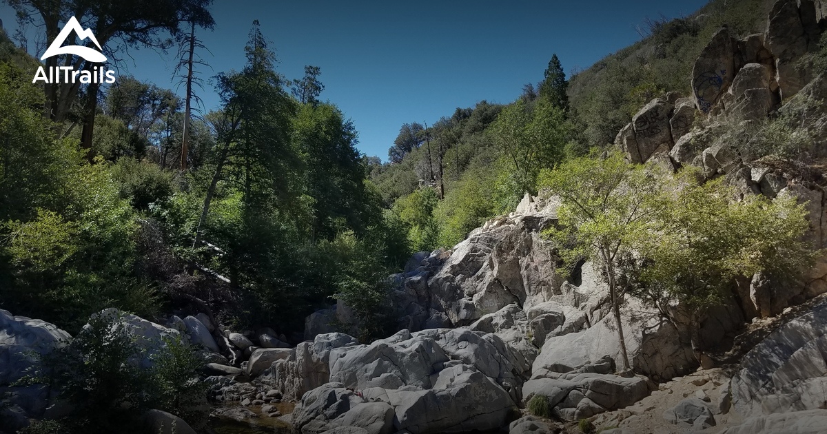 Best Trails near Cedar Glen, California | AllTrails