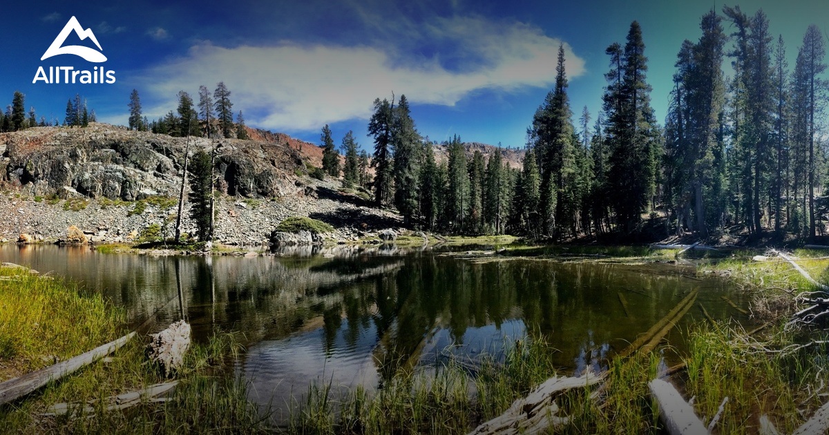 Fish Camp Ca
