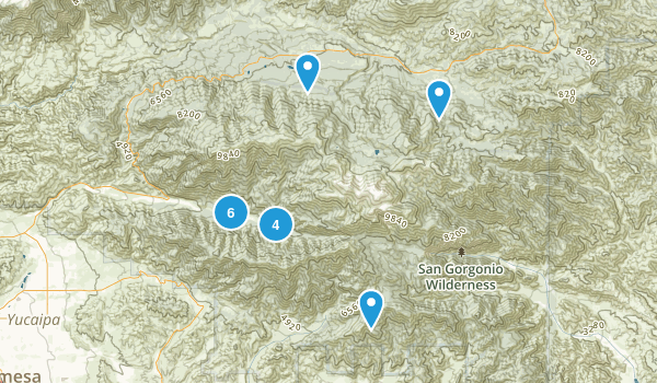 Forest Falls, California Map