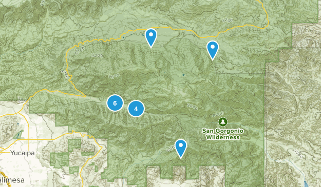 Forest Falls, Kalifornien Map