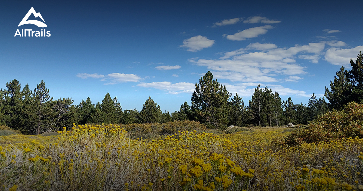 Best Trails near Frazier Park California 239 Photos & 160 Reviews