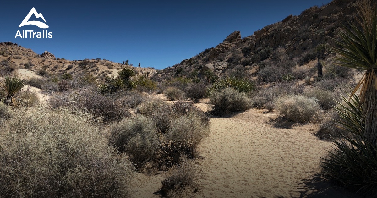 Best Trails near Indio, California AllTrails