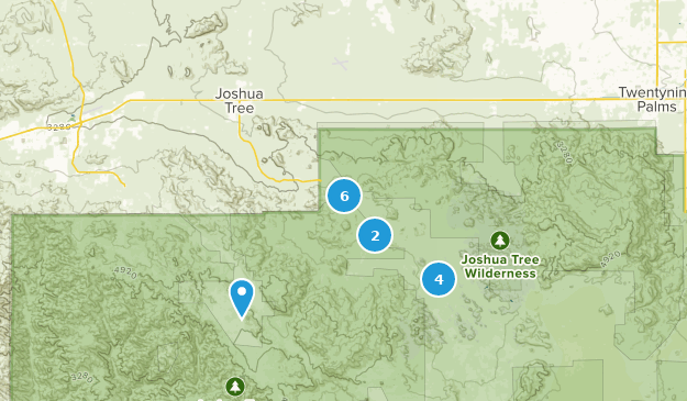 Joshua Tree, Californie Map