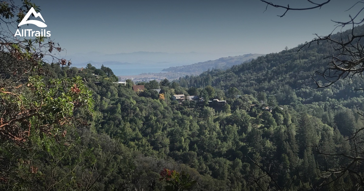 Best Trails near Larkspur, California AllTrails