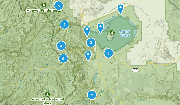 Lee Vining, California Map