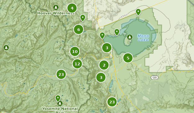 Lee Vining, California Map