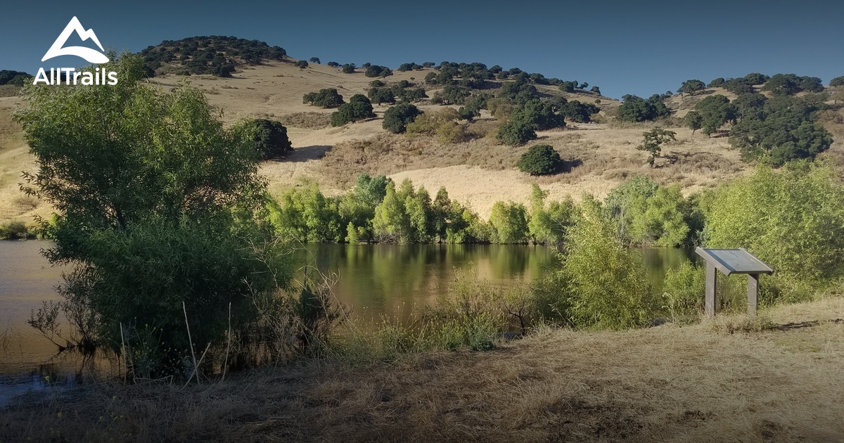 Best Trails near Livermore, California AllTrails