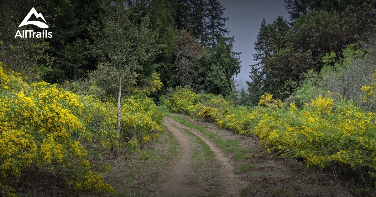 Los 10 mejores senderos para pasear en Los Gatos | AllTrails