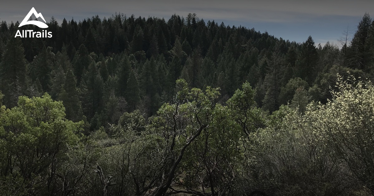 Best Trails near Magalia, California AllTrails