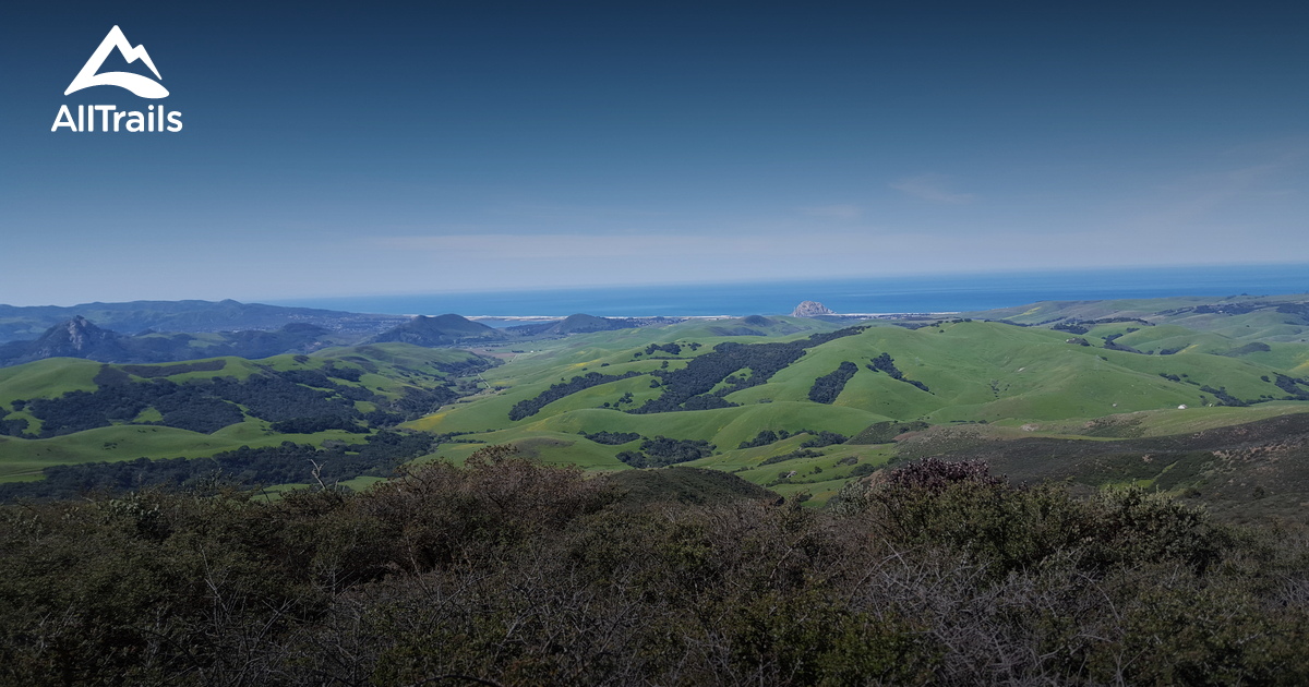 10 Best Trails and Hikes in Morro Bay AllTrails