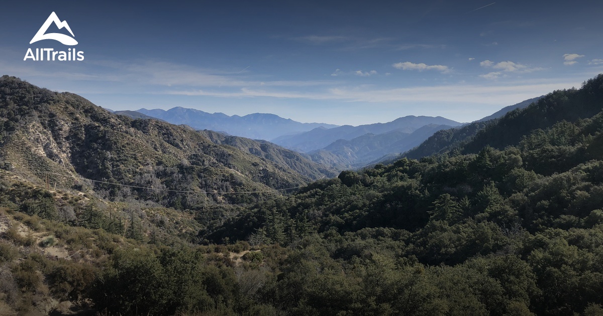 10 Best trails and hikes in Mount Wilson | AllTrails