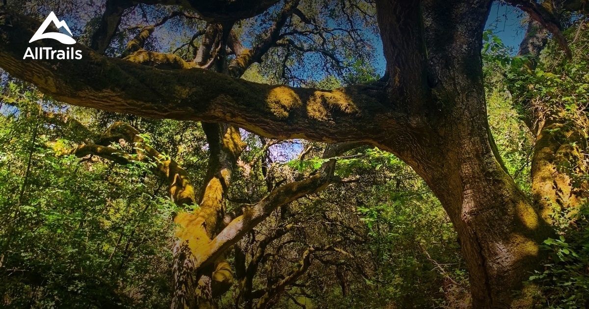 10 Best trails and hikes in Orinda AllTrails