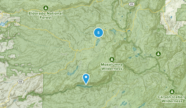 Pioneer, California Map