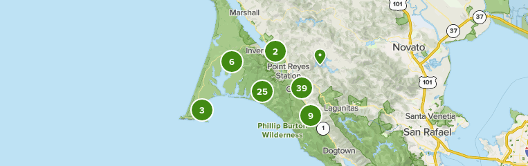 Best trails in point reyes sale