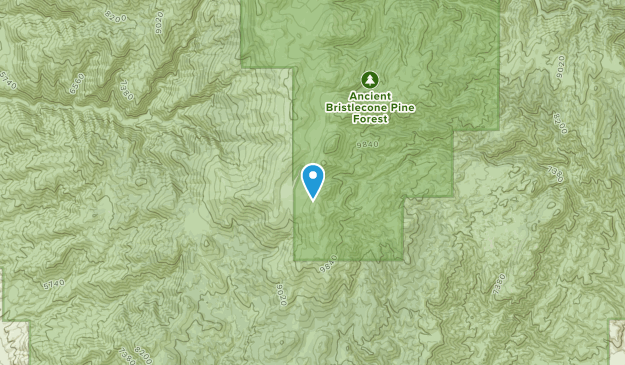 Poleta, California Map