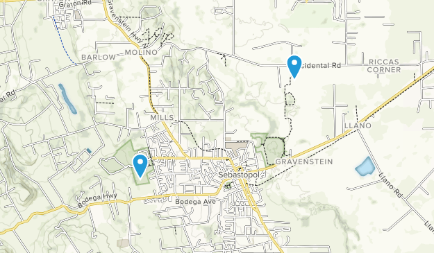 Sebastopol, California Map