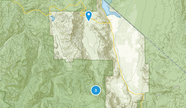 Topaz, California Map